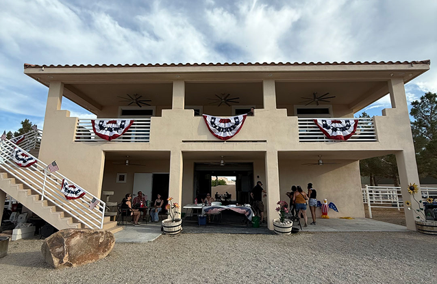 Equine-Facilitated learning